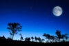 Night sky with Full Moon